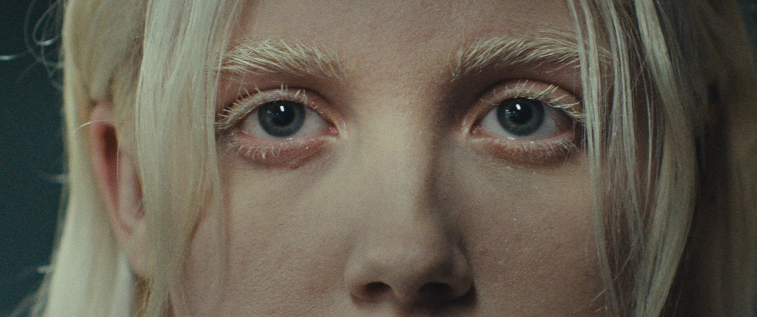 The Mule — cinematography still (1 of 6)